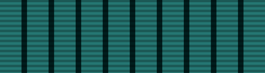 9 Years Long Service Medal