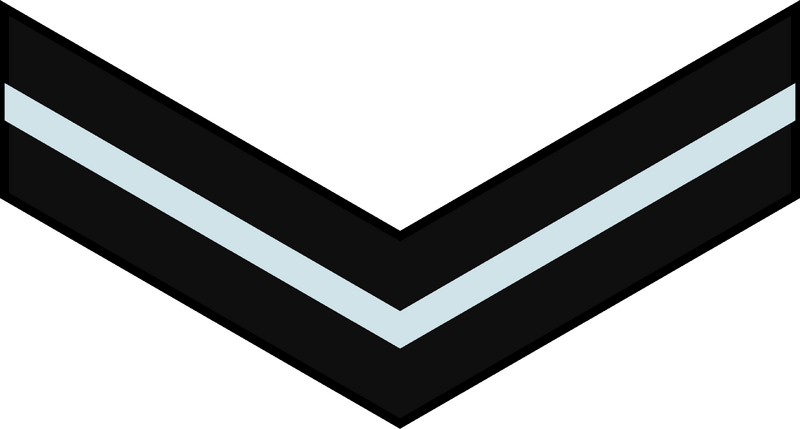 File:India-AirForce-OR-4.svg.png